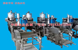 華泰食品機械 深耕豆制品加工機械研發(fā)，鑄就通化干豆腐機卓越品質(zhì)