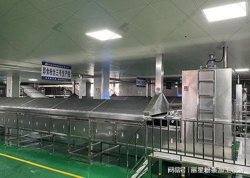麗星桶裝粉絲粉餅生產(chǎn)設(shè)備 核心優(yōu)勢解析與規(guī)模化生產(chǎn)落地實踐